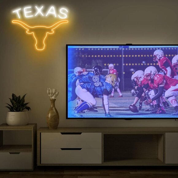 TEXAS LONGHORN NEON LED SIGN - Picture 2 of 5